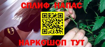 МДПВ Сланцы
