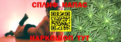 mdpv Славянск-на-Кубани