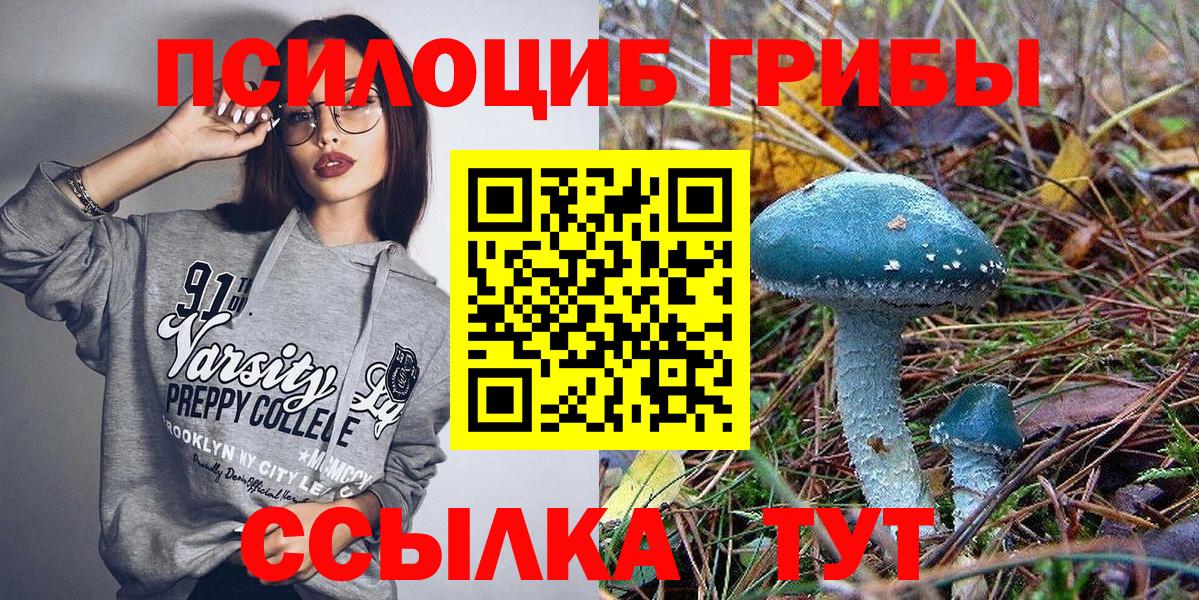 Псилоцибиновые грибы ЛСД Подольск
