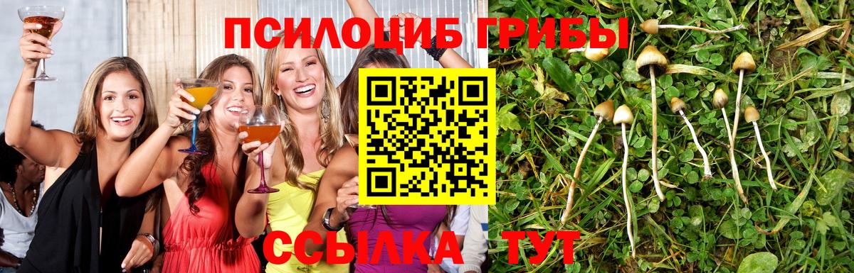 Подольск  Галлюциногенные грибы мухоморы  Вход с VPN 