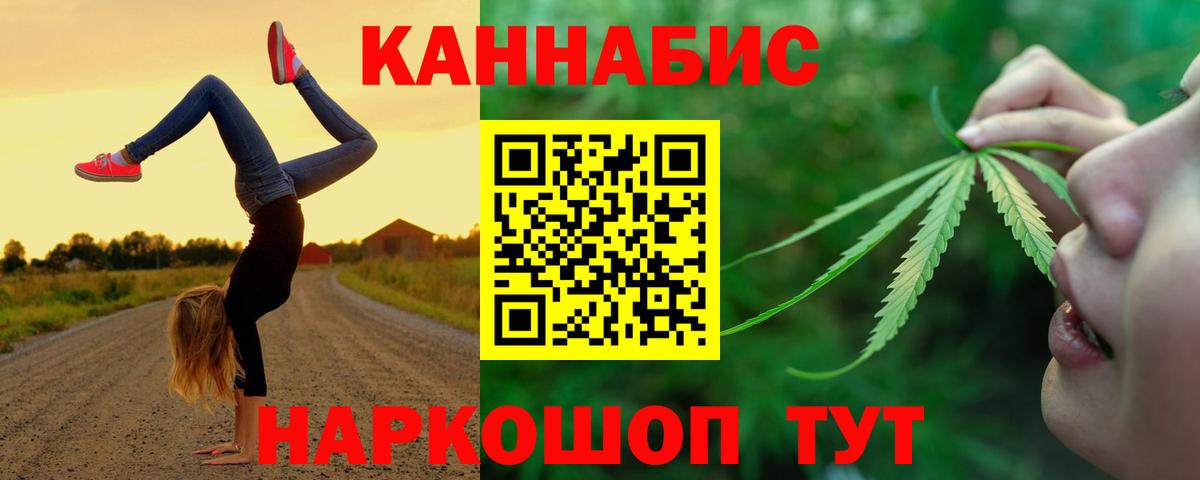 Бошки Шишки план Подольск